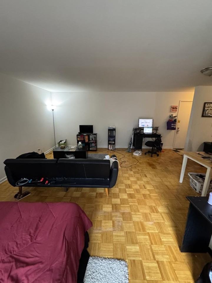 6250 N Kenmore Ave #209 - Photo 3 of 11