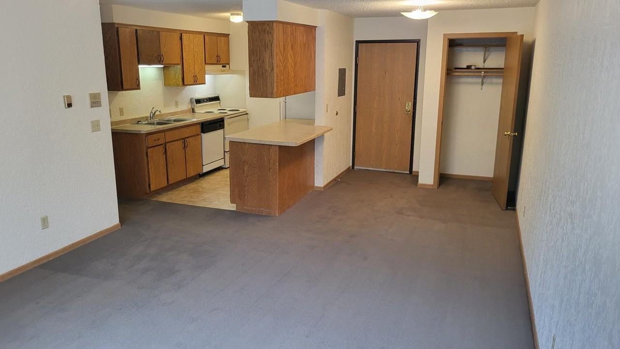 819 6th Ave S #203 - Photo 4 of 10