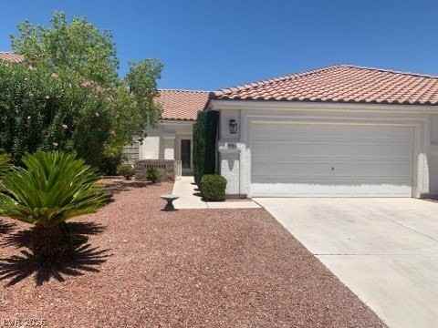 9986 Catalina Canyon Ave - Photo 6 of 30