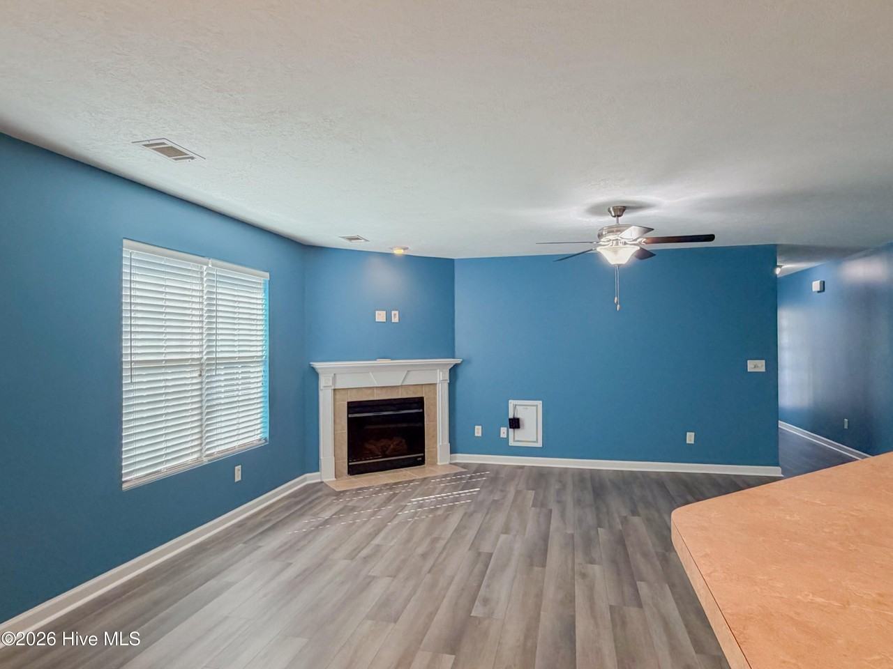556 Stirling Bridge Rd - Photo 4 of 25
