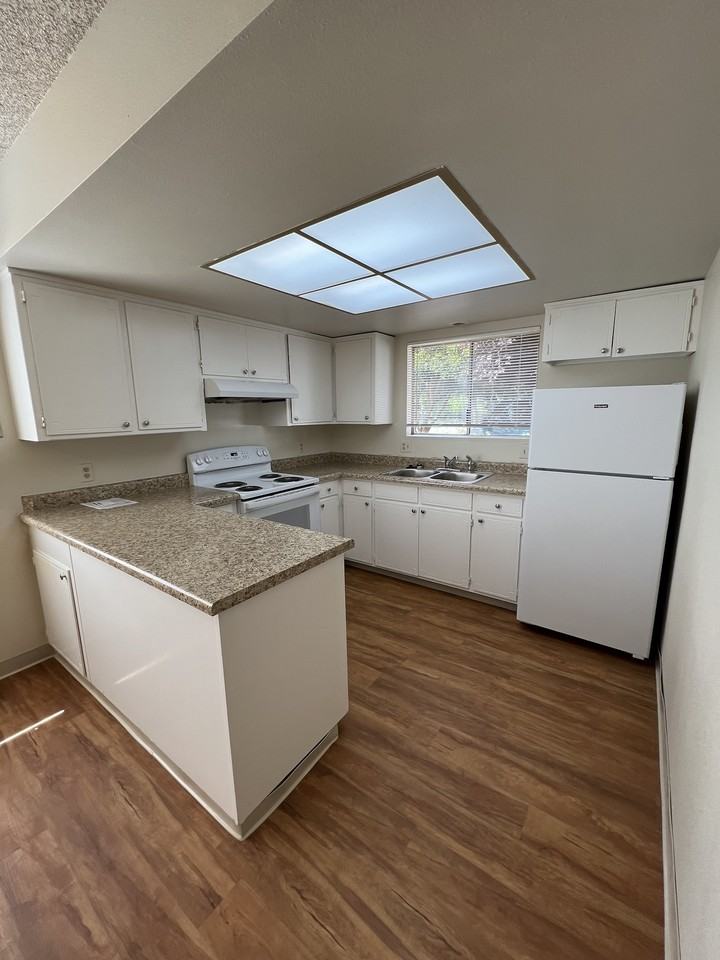 1335 Hemlock Street - Photo 2 of 36