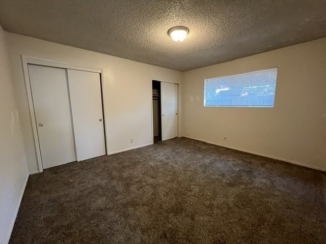 1335 Hemlock Street - Photo 6 of 36