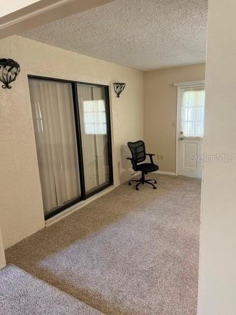 2791 Theresa Dr - Photo 3 of 16