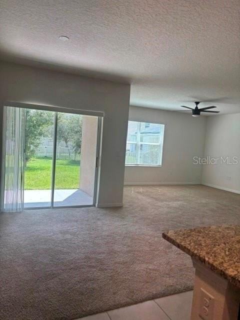 32696 Pez Landing Ln - Photo 4 of 45