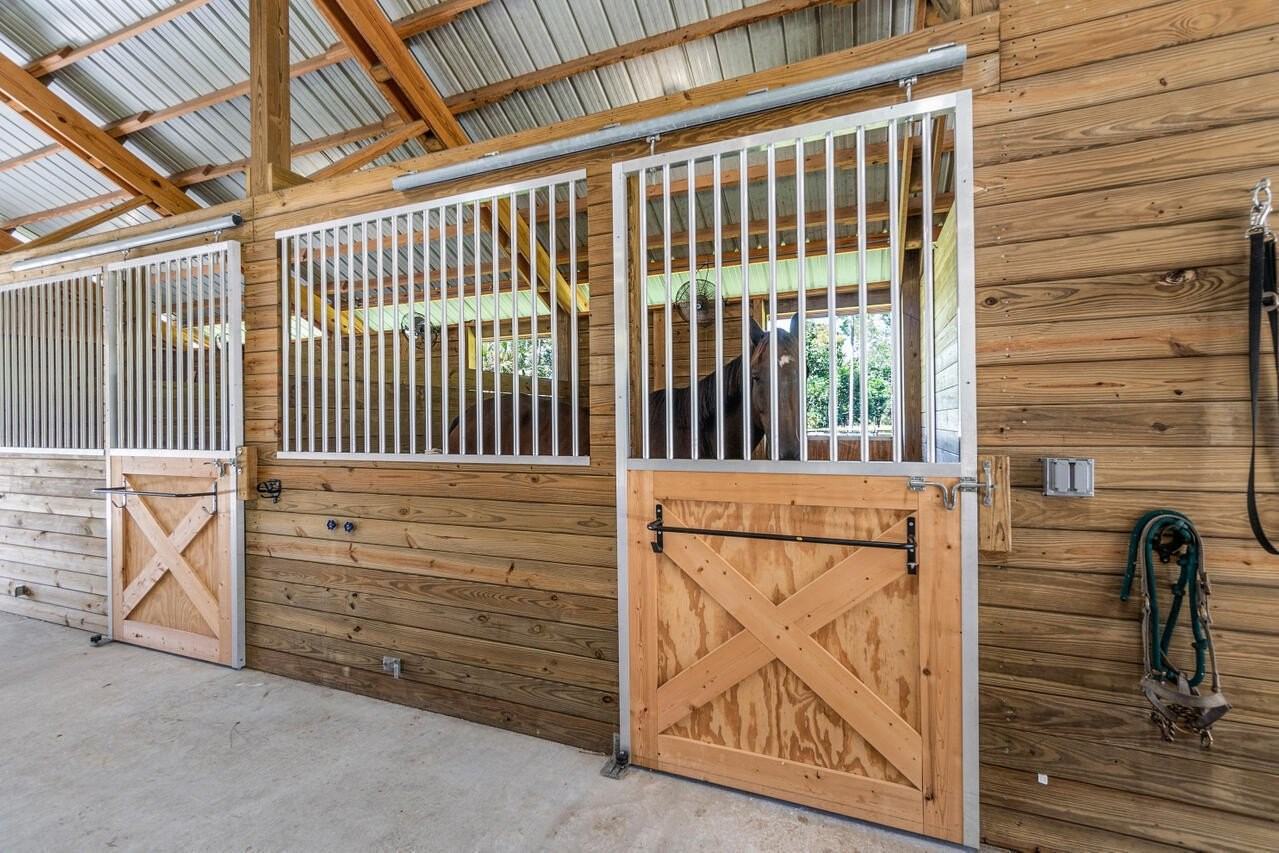 1835 Stallion Dr - Photo 6 of 35