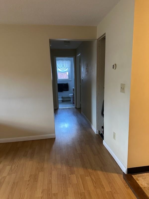 73 Manchester St #5 - Photo 2 of 9