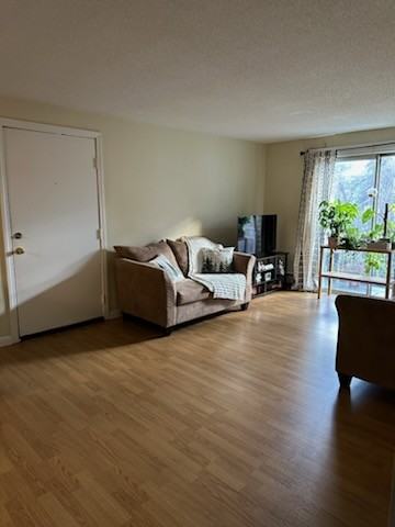 73 Manchester St #5 - Photo 5 of 9