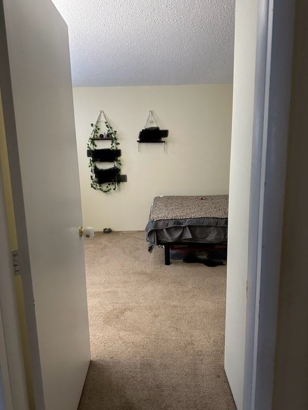 73 Manchester St #5 - Photo 6 of 9