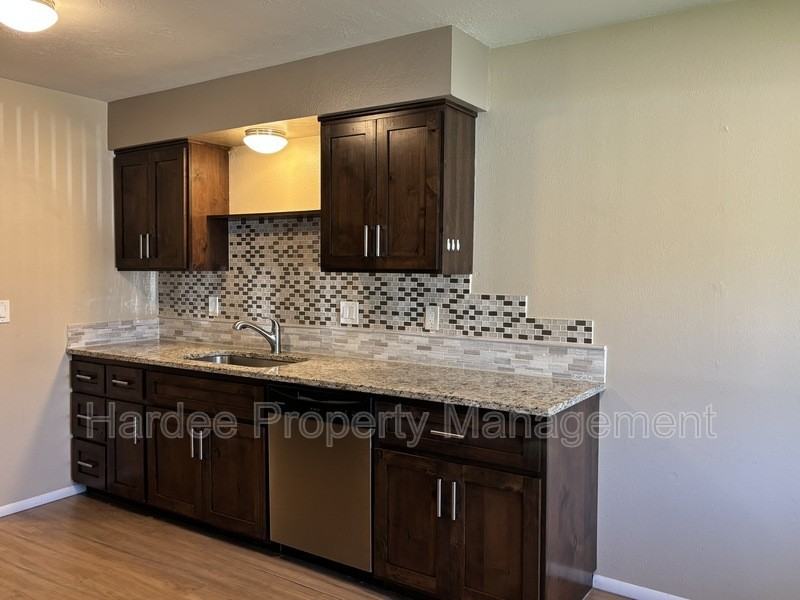 1109 W Dundee St - Photo 5 of 18