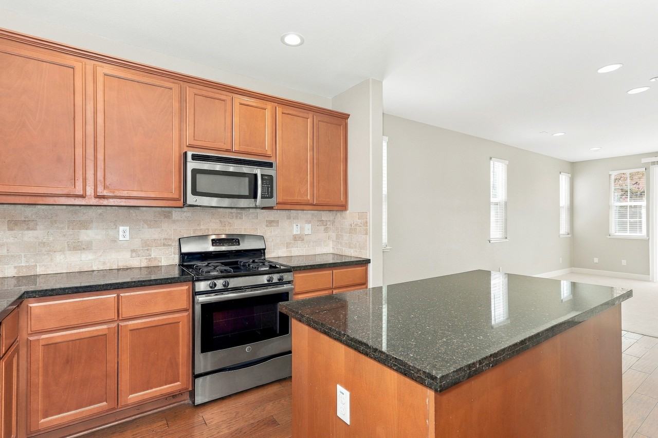 883 Blossom Rock Ln - Photo 6 of 20
