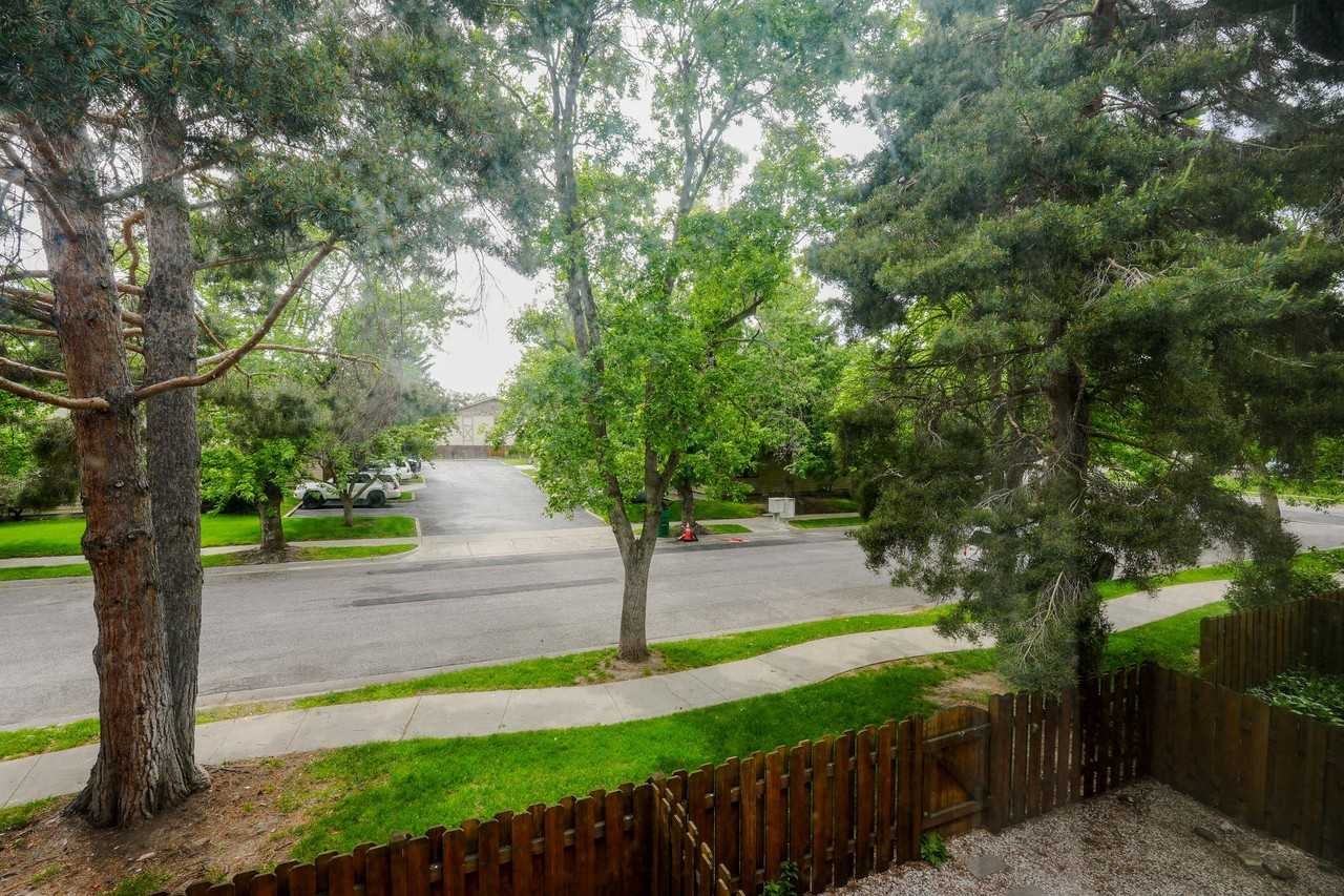 1612 W Olive St #6 - Photo 4 of 20