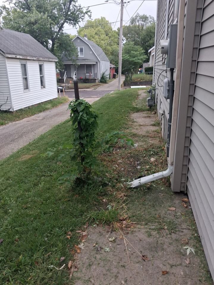 512 Fairholm Ave - Photo 7 of 32