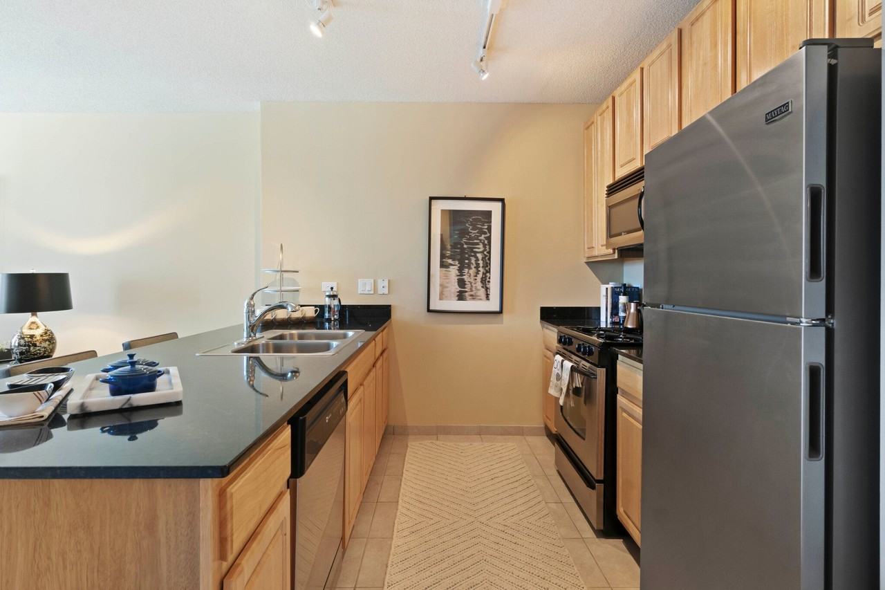 357 N Desplaines St #1206 - Photo 6 of 13