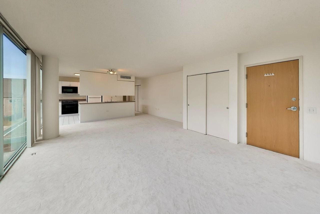 3115 S Michigan Ave #307 - Photo 4 of 24