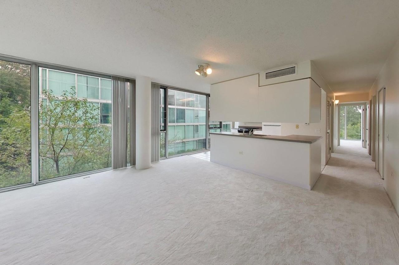 3115 S Michigan Ave #307 - Photo 6 of 24