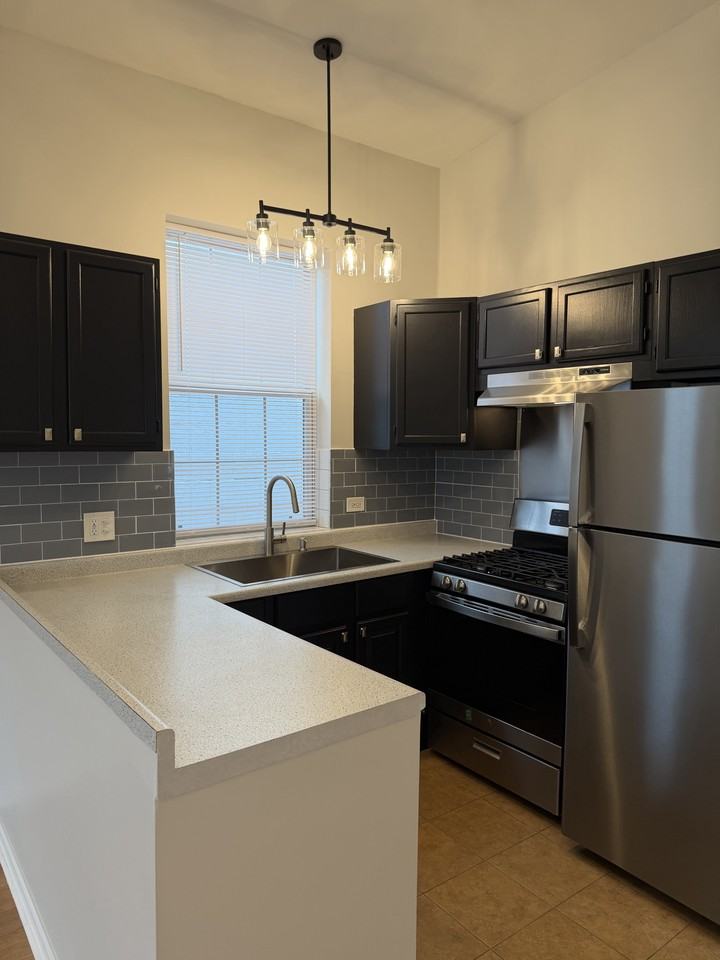 2328 W BELMONT AVE #3FF - Photo 4 of 16