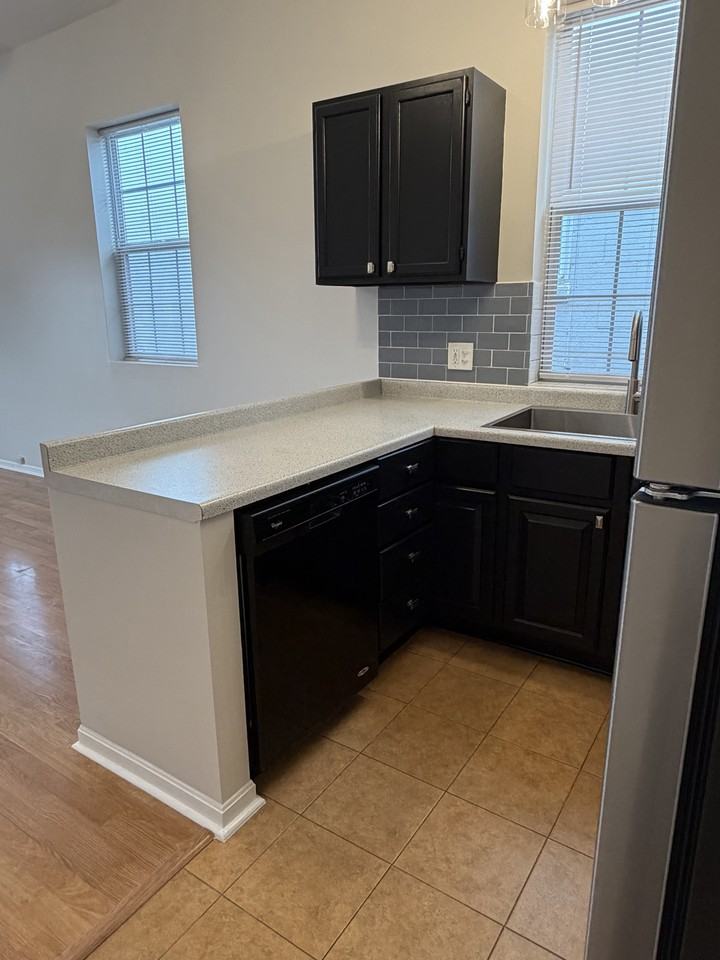 2328 W BELMONT AVE #3FF - Photo 5 of 16