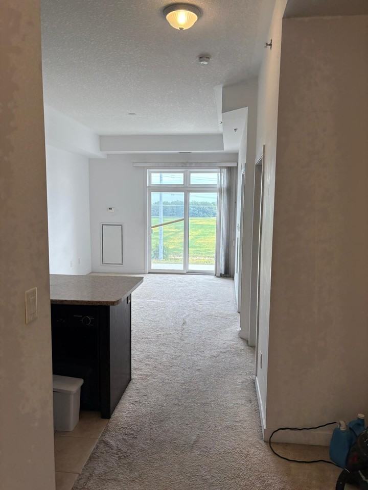 5317 Upper Middle Road - Photo 3 of 10