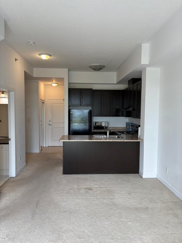 5317 Upper Middle Road - Photo 4 of 10
