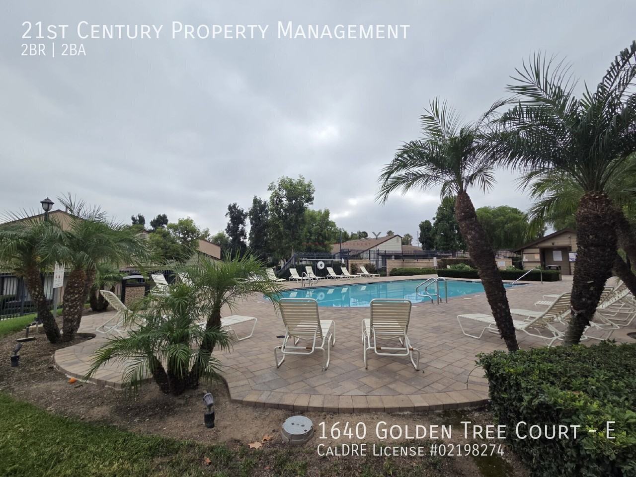 1640 Golden Tree Ct #E - Photo 4 of 24