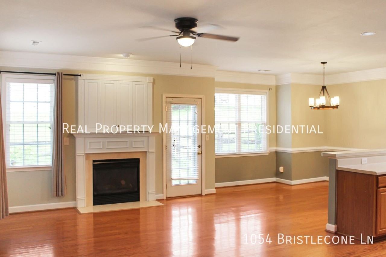 1054 Bristlecone Ln - Photo 3 of 22