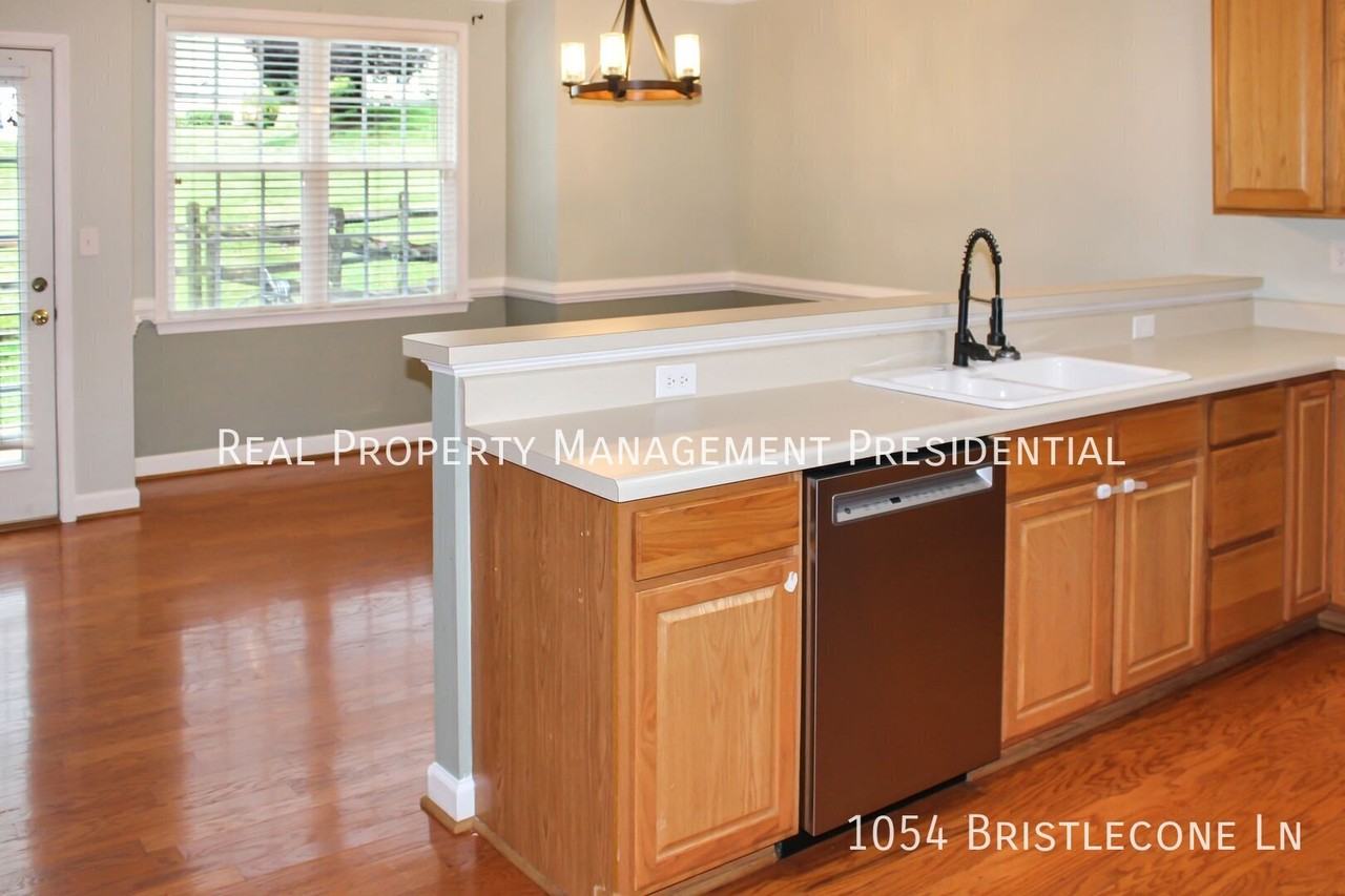 1054 Bristlecone Ln - Photo 4 of 22