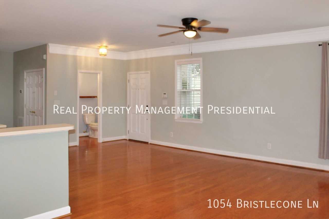1054 Bristlecone Ln - Photo 5 of 22