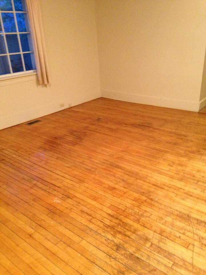 721 Niagara St - Photo 4 of 10