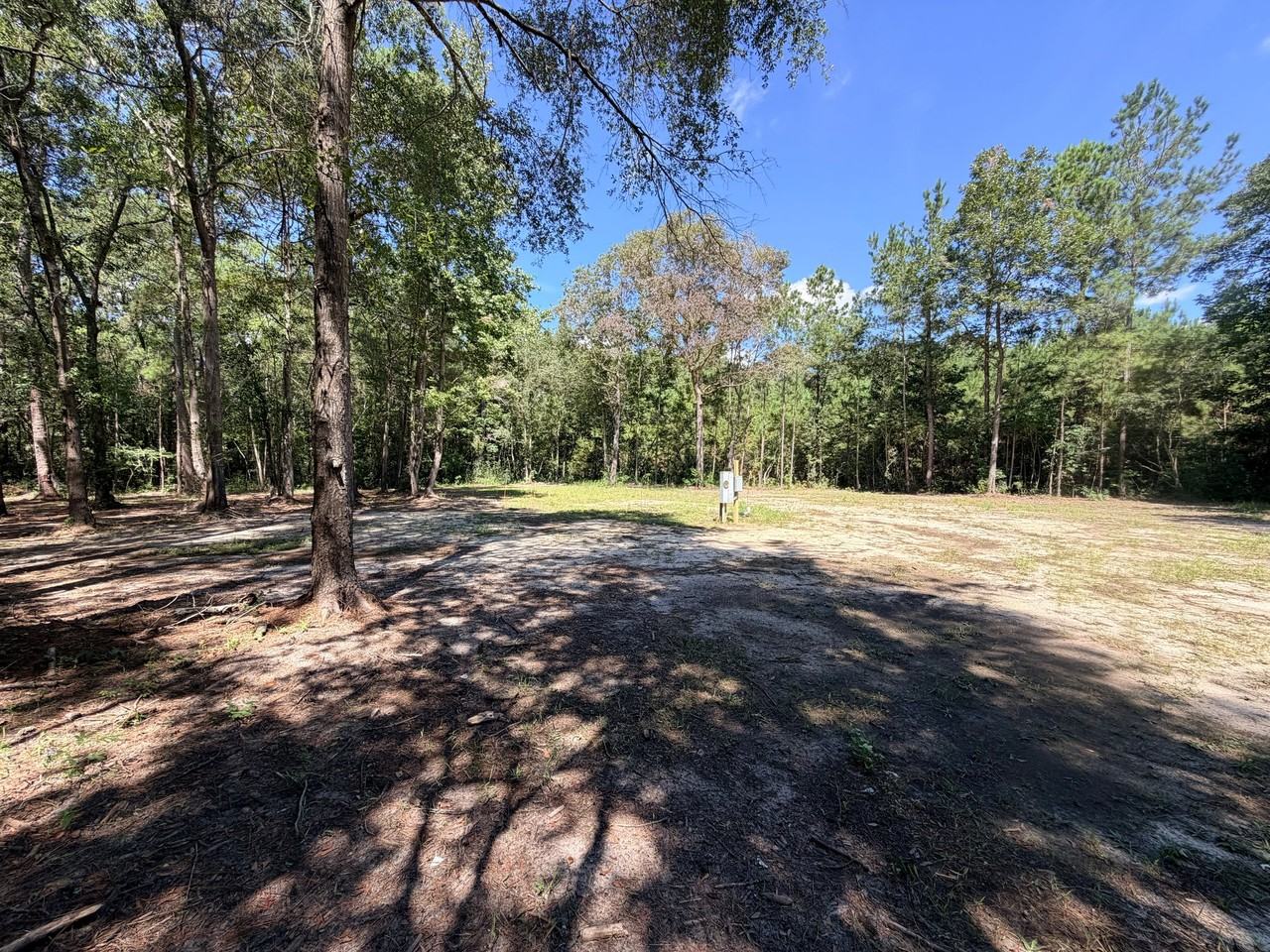 1104 Quill Moore Rd - Photo 5 of 6