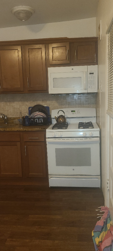 4839 W Addison St #1N - Photo 3 of 21