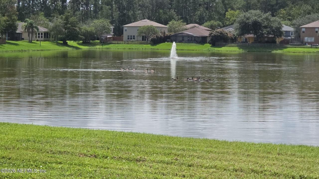 2919 Bent Bow Ln - Photo 3 of 21