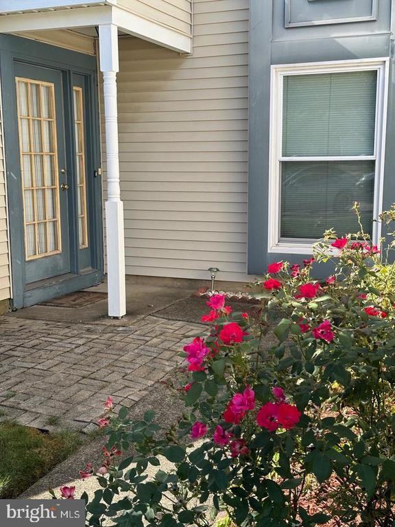 1376 Sweetbell Ct - Photo 2 of 23