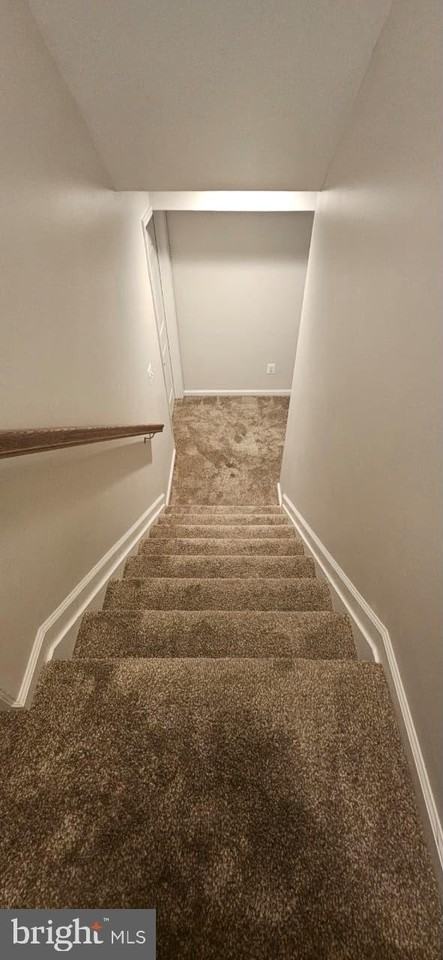 6423 Beechfield Ave - Photo 3 of 24