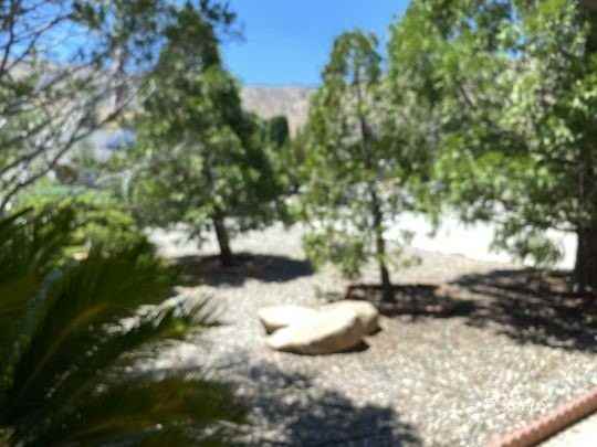 2608 Bobcat Dr - Photo 3 of 45