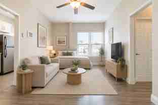 Seven Lions Apartments | Cozy Renovated Apartments in Koreatown - Photo 1 of 1