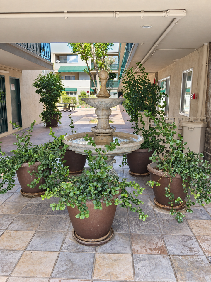Maison De Michelle Apartments - Photo 2 of 3