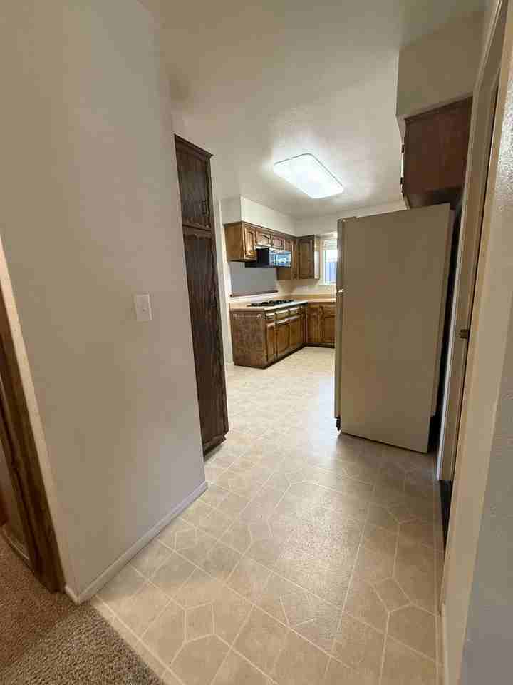 4929 Sparrow Hawk Ln - Photo 7 of 33