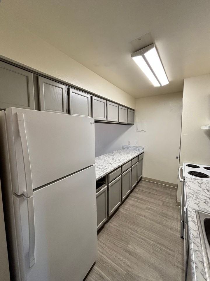 210 S Ingalls St #9 - Photo 6 of 14