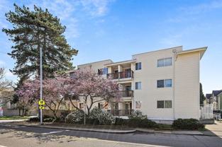 North Holland Apartments - Photo 1 of 1