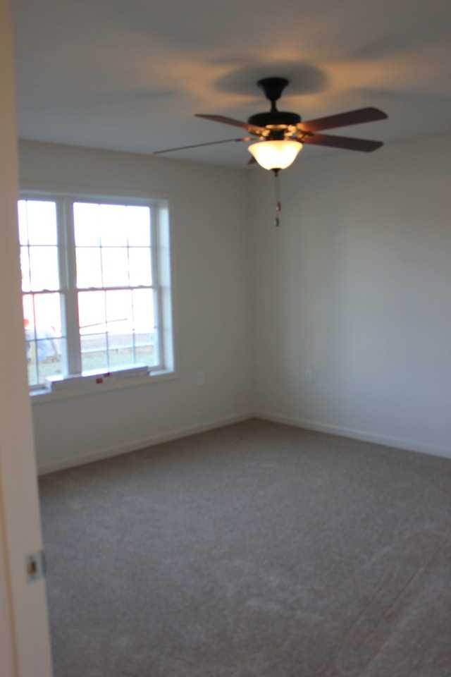 1464 Taylor Grove Ln #1 - Photo 6 of 14