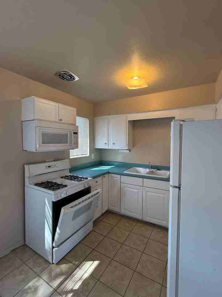 1315 Desert Eve Dr - Photo 4 of 10