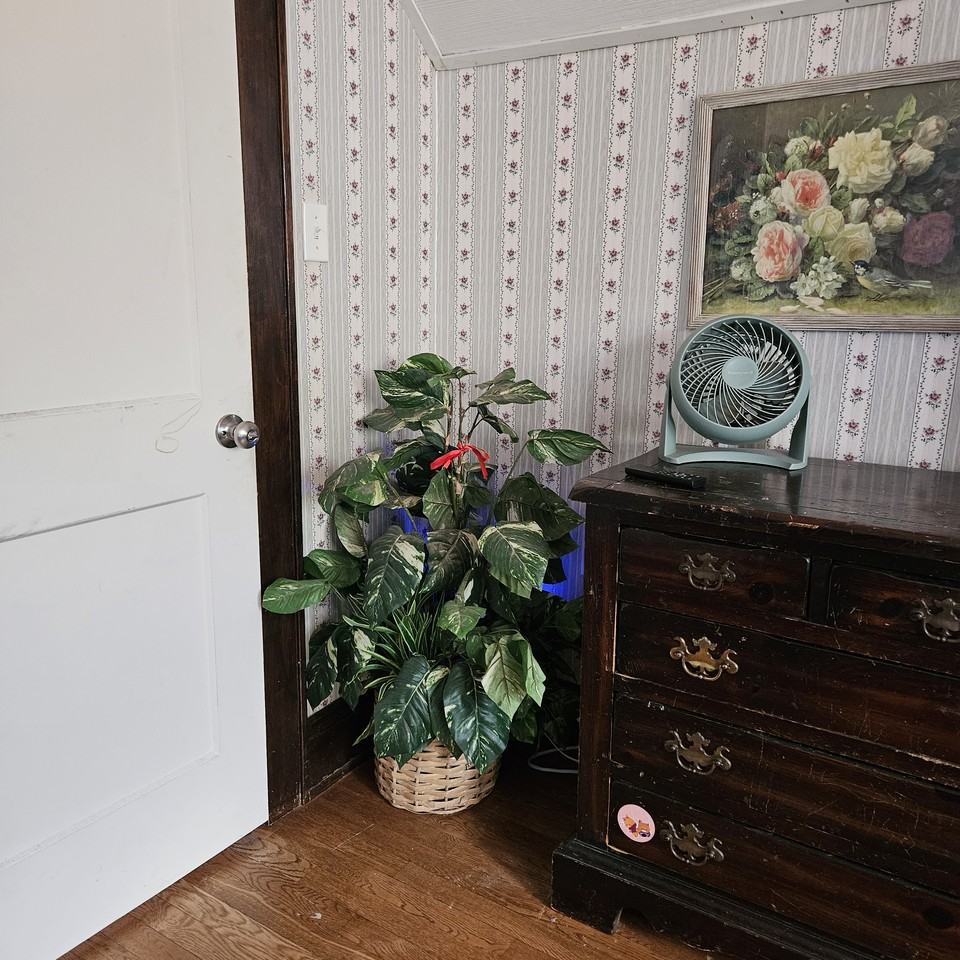132 Westwood Dr Apt 2 #NA - Photo 4 of 23
