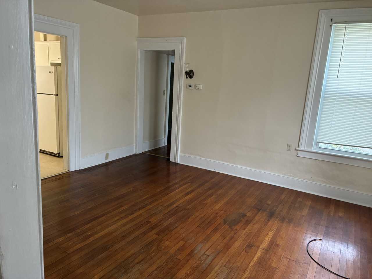 51 Pulteney St #1 - Photo 3 of 15