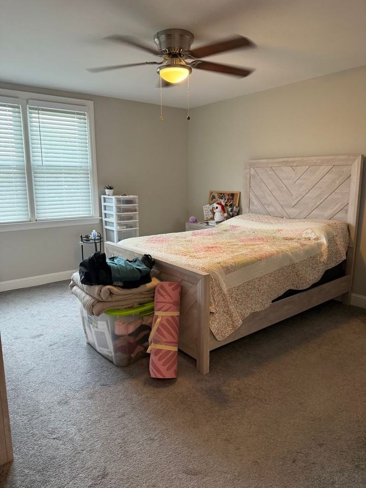 407 Pine St - Photo 7 of 21