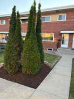 featured image of 6 E Judith Ann Dr