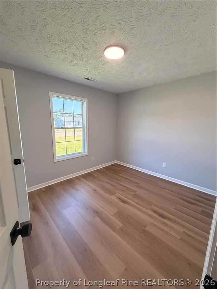 173 Centipede Ln - Photo 4 of 11