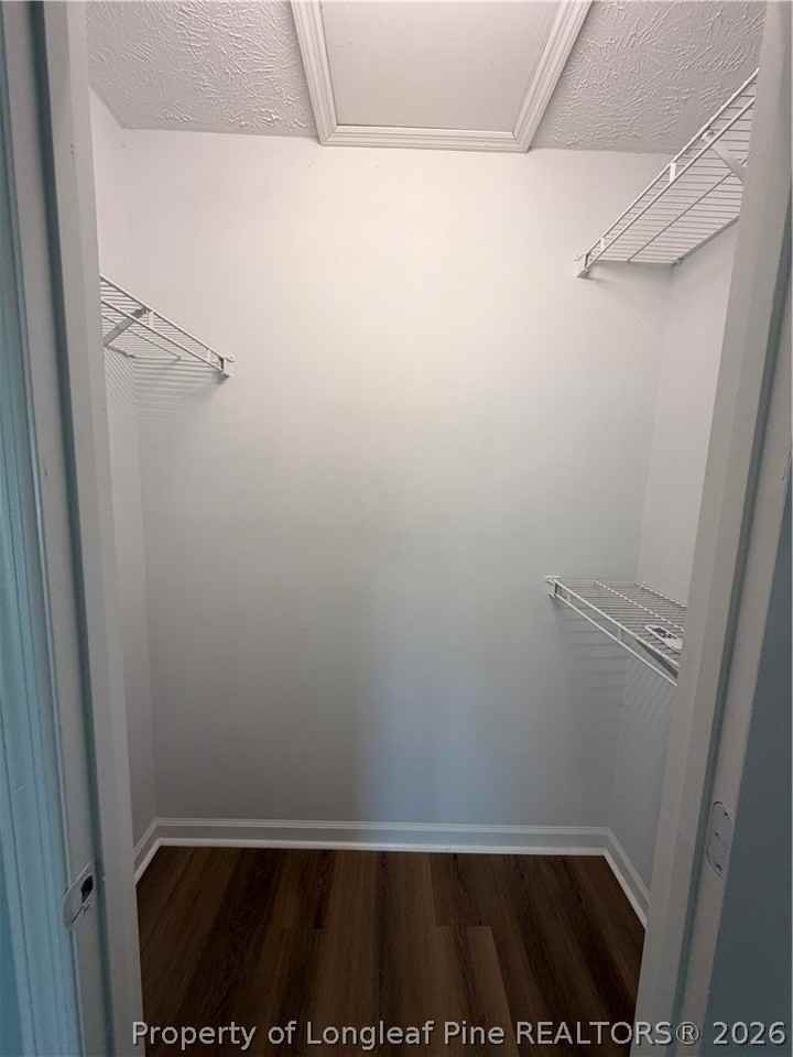 173 Centipede Ln - Photo 5 of 11