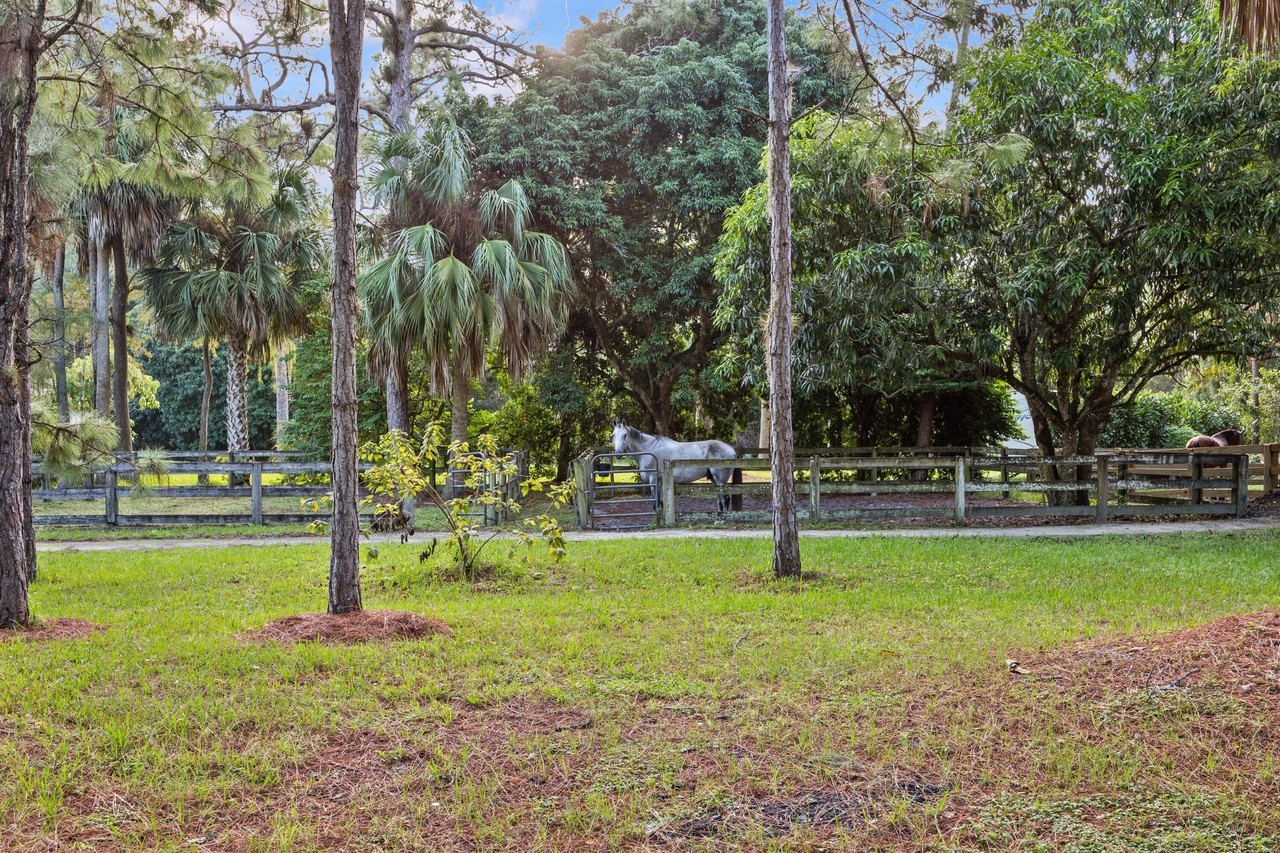 1711 Stallion Dr - Photo 7 of 28