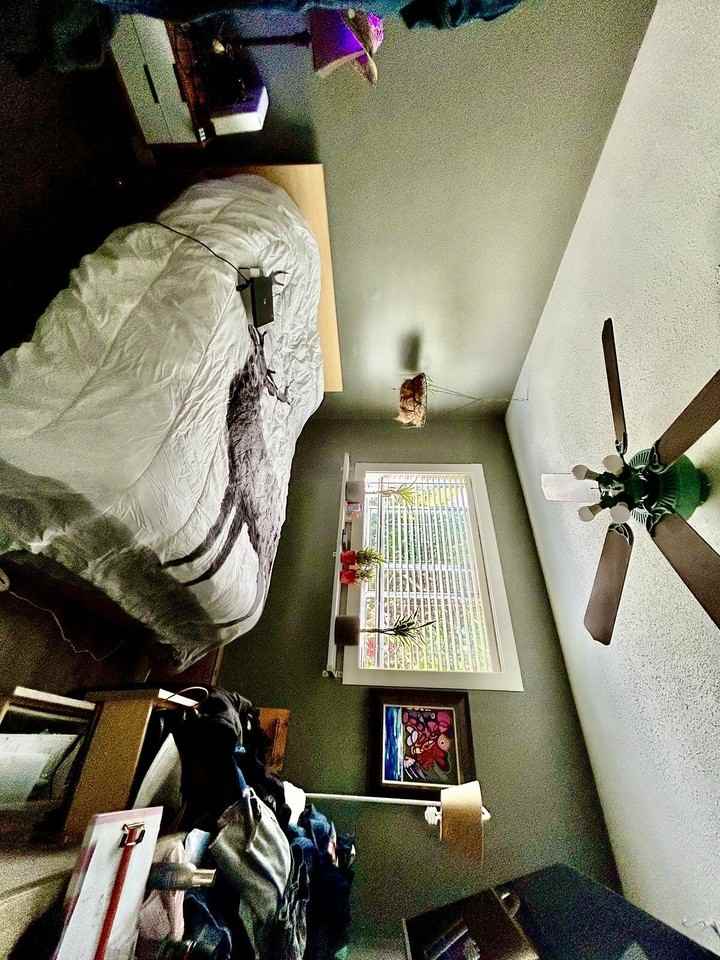 589 Temple St - Photo 3 of 28