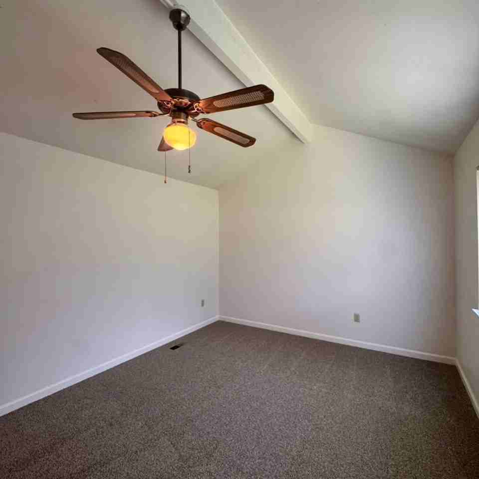 1255 Searchlite Ct - Photo 5 of 9